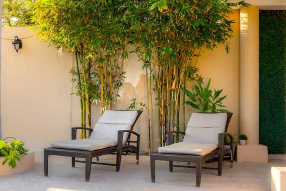 Spacious House | 4 BR | Pool, Gym & Terrace - Image 4